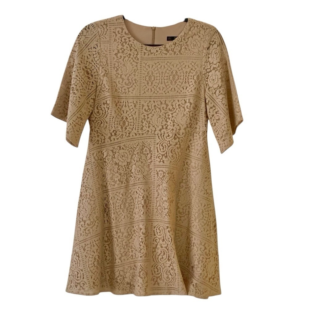 Zara Basic Collection Lace A-Line Dress Blush Nude Size XS - Picture 7 of 8